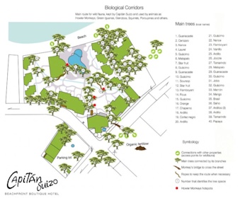 Capitan Suizo Beachfront Boutique Hotel Map Layout